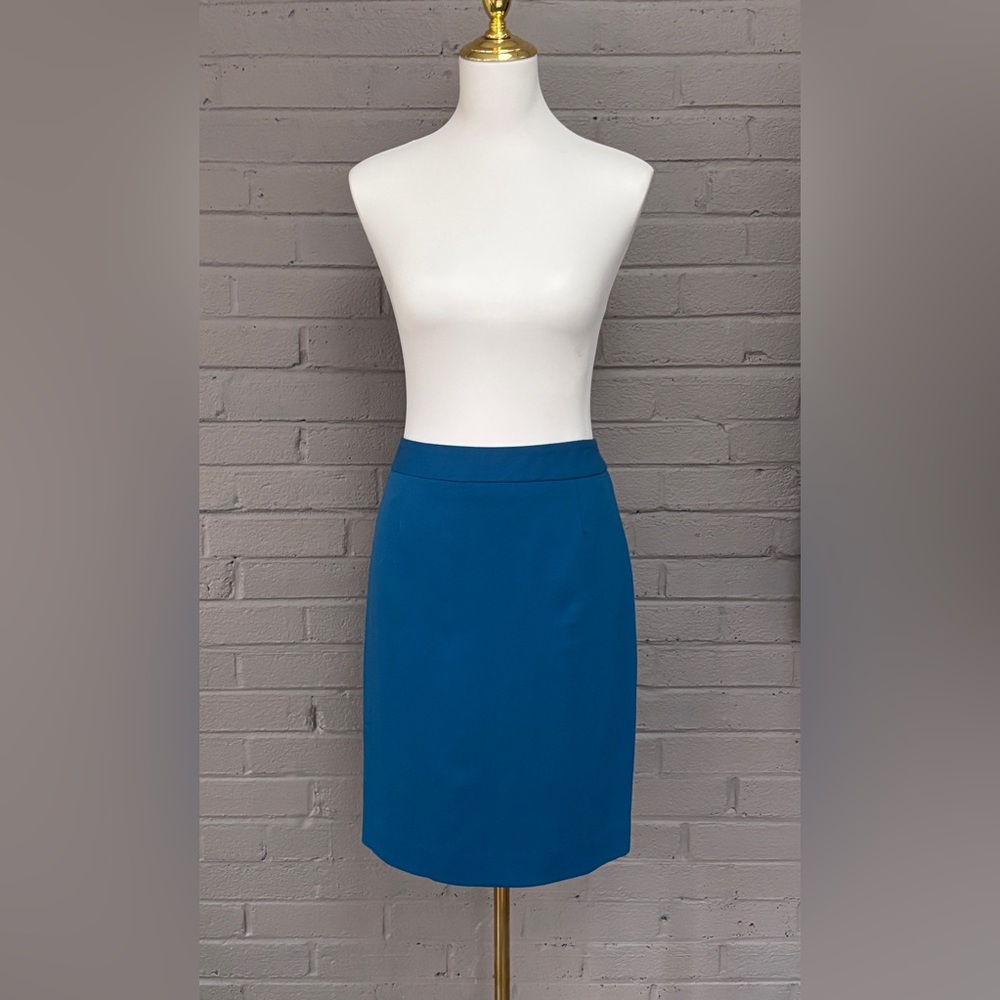 Pendleton NWT blue skirt 10 P